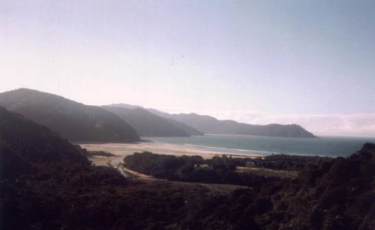 Tasman5